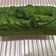 Cooksnap dari Klara Brigitta untuk resep Steamed Matcha Cake