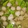 Cooksnap dari Shindy Aja untuk resep Bakso Ayam Mix Sapi
