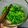 Cooksnap dari Ari Nur untuk resep 247. Sigeumchi Namul (Spinach Korean Side Dish 5 menit)