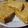 El cooksnap de Michel Moscardi Silva cuando hizo Tarta de atún.