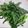 馴獸師在廚房 的 炒A菜 cooksnap