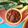 Cooksnap Norida Alias semasa beliau membuat Sambal belacan berapi.
