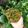 Ankita Bhattacharjee Roy's cooksnap of when they made কলমি শাক (kalmi saag recipe in Bengali).