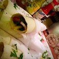 صورة من @diet_jojohealthmeals، شاركها بعد تجربة وصفة شاورما الصاج اللذيذة