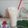 Cooksnap dari Chendera Ria Lim untuk resep Es Susu Soda Lime