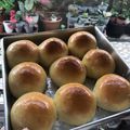 Cooksnap dari Yuni Twiyarti Pertiwi untuk resep Roti Burger Lembut dan Kokoh/ Burger Bun