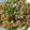 Ruchita Saxena's cooksnap of when they made Simple veg rice.
