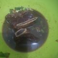 Cooksnap dari Rimbawan Sugiarto untuk resep Sop Konro khas Makassar