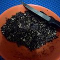 Cooksnap dari Dini Lestari untuk resep Choco Oat