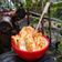 Cooksnap dari Agustin Nur Hasanah untuk resep Rujak Bangkok Jambu Kristal
