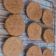 El cooksnap de Lily_Cocinillas cuando hizo Galletas de Gofio (Aptas Celíacos).