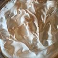 El cooksnap de Francisca Gorriti cuando hizo Lemon Pie 🍋.