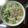 Cooksnap của sophiecancook khi họ làm theo món Phở bò
