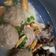 Cooksnap dari zahraibadina untuk resep Kuah Bakso
