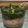 Lizz Cooksnap-ja, amikor elkészítette a(z) Bazsalikomos pesto receptet.
