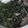 El cooksnap de alejandra cuando hizo 🥬 Chips de kale (tipo snack).