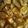 Haniyah Arham's cooksnap of when they made நாட்டுக்கோழி குழம்பு(country chicken curry recipe in tamil).