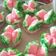 Cooksnap dari Siti Muzayana untuk resep Bolu Kukus Mekar Sprite anti Gagal