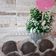 La cooksnap de Nilia_Cookpad cuando cocinó Trufas de Chocolate y Coco