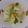 Cooksnap dari Ely Ramadanti untuk resep Sayur Sop Ayam