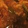 Cooksnap dari Sadella Evrita untuk resep Topping Mie Ayam