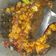 Cooksnap dari Arin untuk resep Tempe Orek nasi uduk/kuning