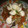 Gentle_xahra's cooksnap of when they made Danwake.