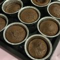 鄭怡如 的 巧克力布朗尼 cooksnap