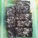 Cooksnap dari Sofie 🍲 untuk resep Fudge Brownies, Gampang ga pake ribet