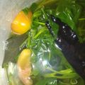 Cooksnap dari Ikka untuk resep Sayur bening kangkung