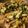 StephieCanCook's cooksnap of when they made Stirfried beef with bok choy.