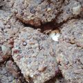 El cooksnap de silvina piedra cuando hizo Hamburguesas de lentejas fáciles y económicas.