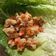 Rowena Tsang 的 生菜蝦鬆 cooksnap