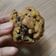 Cooksnap dari Desti Triwahyuni untuk resep Soft Pumpkin Cookies Gluten Free