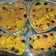 Cooksnap dari NIRA untuk resep Klappertart Simple