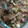 El cooksnap de CRistina Ruiz cuando hizo Combinado de shitake, shimeji y portobello.