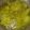 Runta Dutta's cooksnap of when they made আম ও আনারসের চাটনি (aam o anaraser chutney recipe in Bengali).