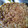 El cooksnap de Mathuh Kikez cuando hizo Masa para kuchen.