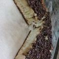 Cooksnap dari afifah untuk resep Martabak manis teflon