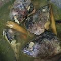 Cooksnap dari Greyse Ryoni untuk resep Soup kepala ikan