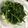 Lin Shu Jhen 的 炒地瓜葉 cooksnap