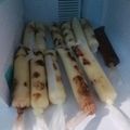 Cooksnap dari andri bundanya al fatih untuk resep Es lilin choki choki