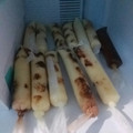 Cooksnap dari andri bundanya al fatih untuk resep Es lilin choki choki