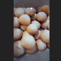 کوک اسنپ ftme_r.j بعد از امتحان کردن کوکی پرتقالی.