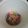 Cooksnap dari Adinda Putri untuk resep Lidah kucing rainbow