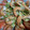 El cooksnap de Victor cuando hizo Ensalada de aguacate y langostino cocido.