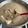 Cooksnap dari Therlyn untuk resep Opor Ayam Resep Mama