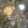 Cooksnap dari Dede Sugianto untuk resep Tumis kangkung pedas