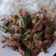 El cooksnap de Ester Bonfim cuando hizo Carne Mongoliana.