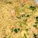 Cooksnap dari wulan sunjoyo untuk resep Mie goreng seafood